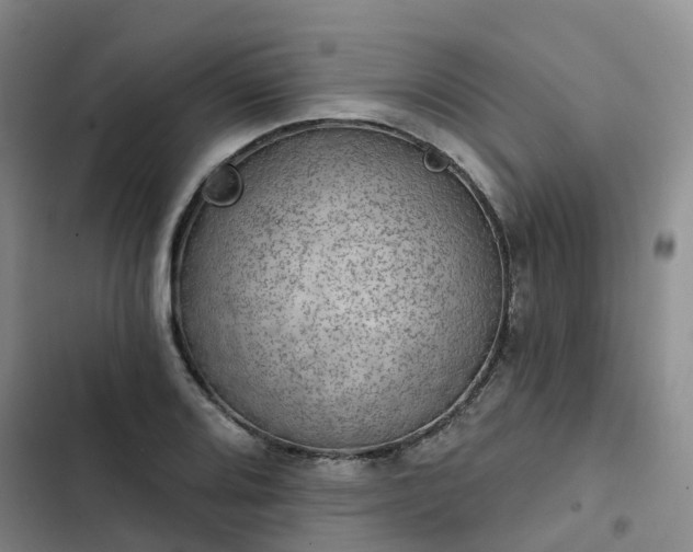 X0000102771080200808251046