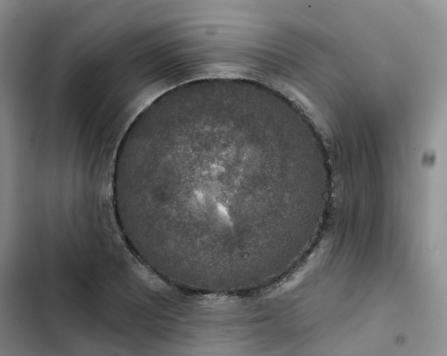 X0000102771081200808251046