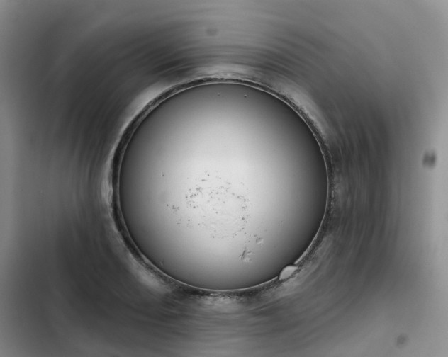 X0000102771082200808251046