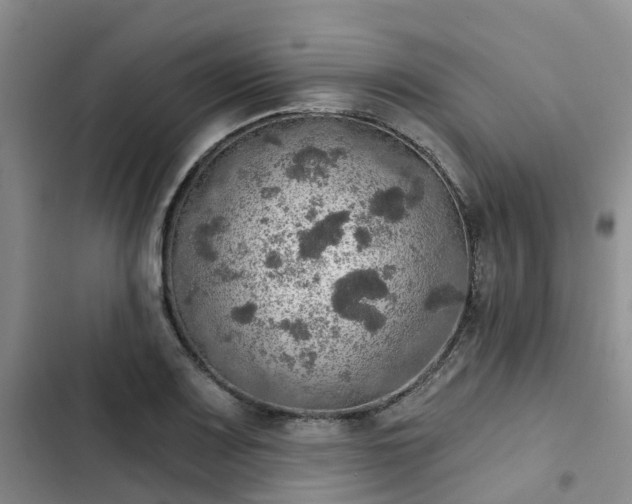 X0000102771083200808251046