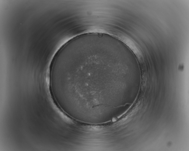 X0000102771084200808251046