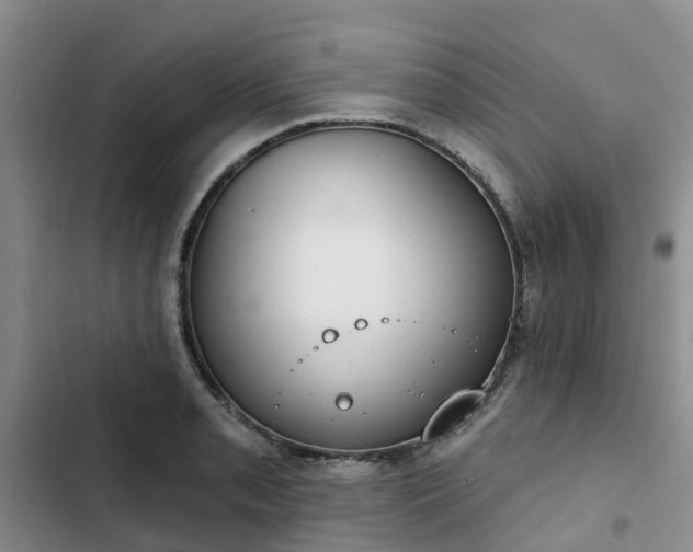 X0000102771085200808251046