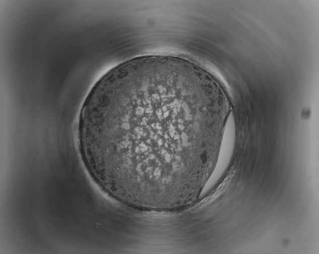 X0000102771087200808251046