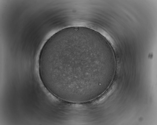 X0000102771088200808251046