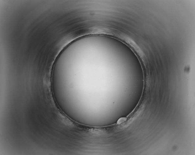 X0000102771089200808251046