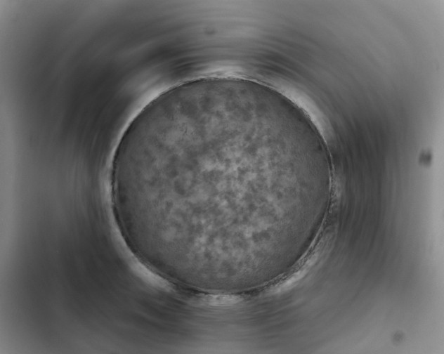 X0000102771090200808251046