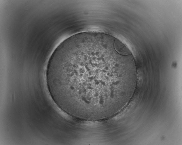 X0000102771091200808251046