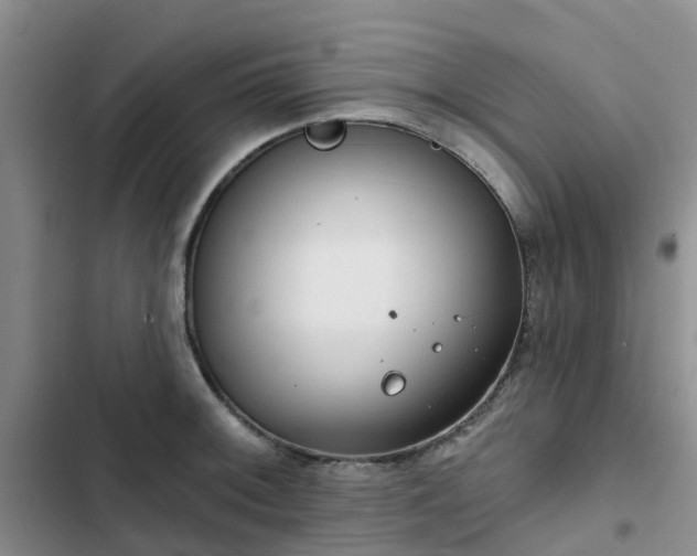 X0000102771092200808251046