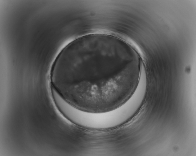 X0000102771095200808251046