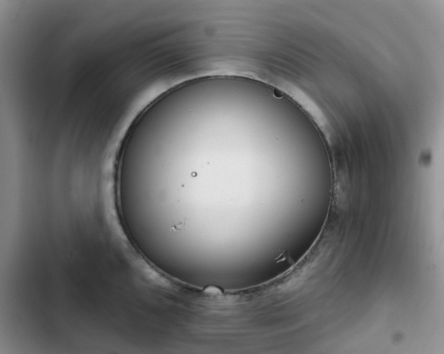 X0000102771096200808251046