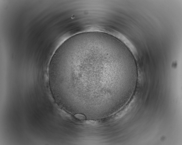 X0000102771097200808251046