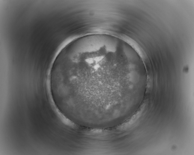 X0000102771098200808251046