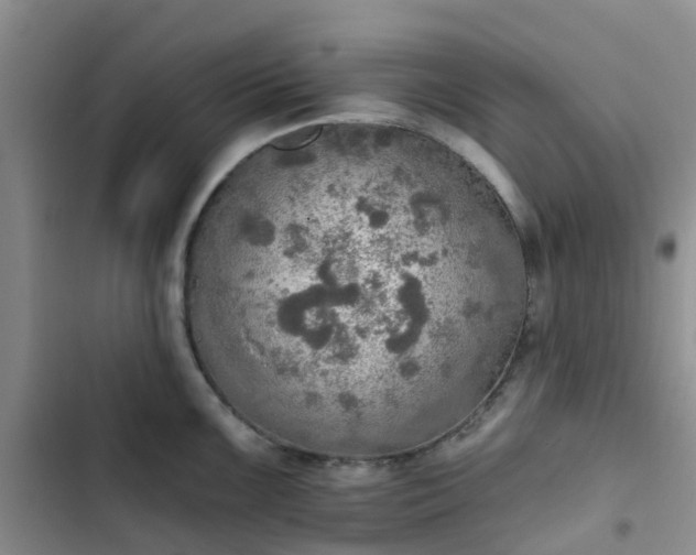 X0000102771099200808251046