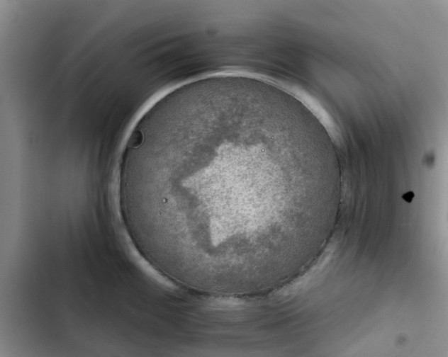 X0000102771100200808251046