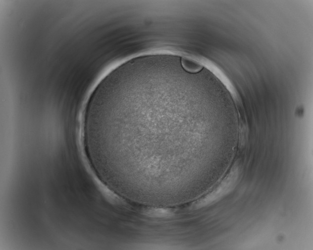 X0000102771101200808251046