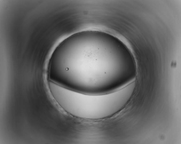 X0000102771104200808251046