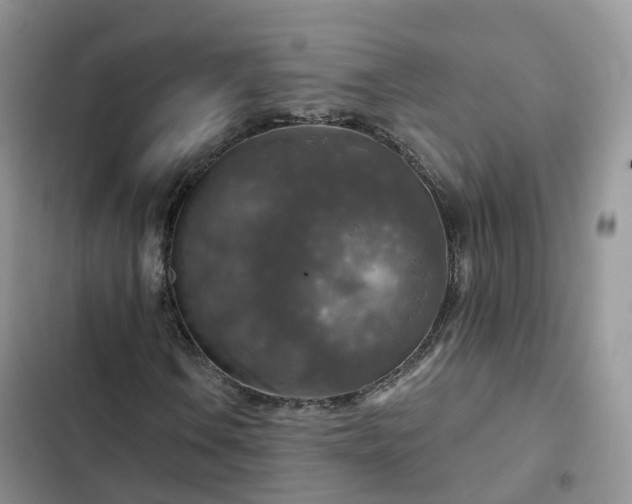 X0000102771106200808251045