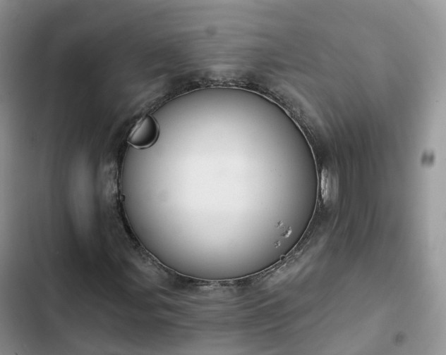 X0000102771107200808251045