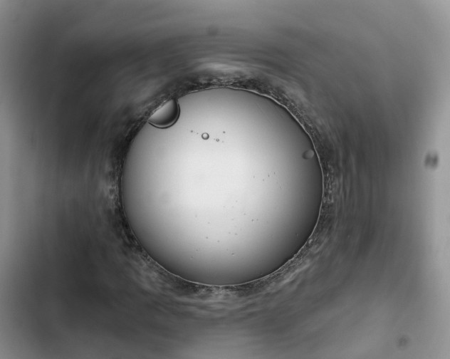 X0000102771109200808251045