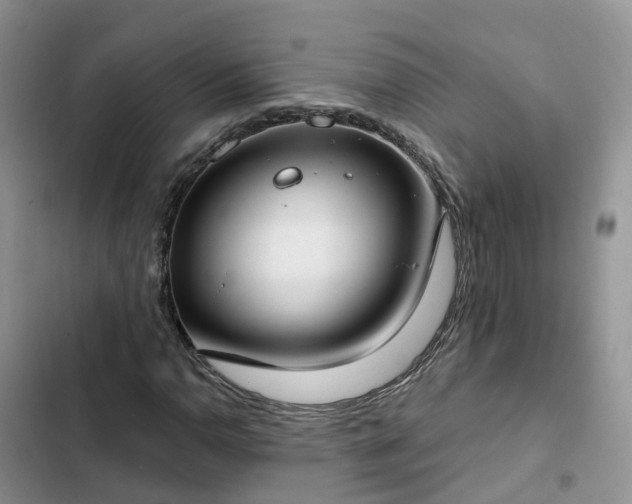 X0000102771110200808251045