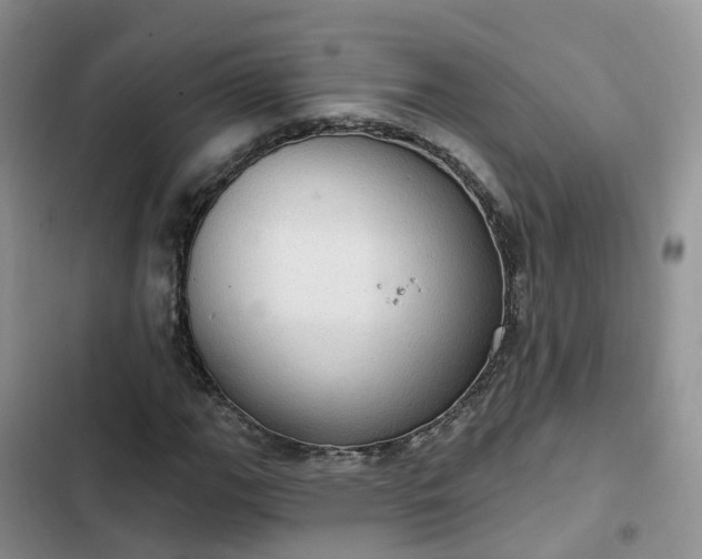 X0000102771111200808251045