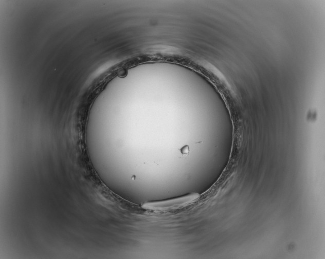 X0000102771112200808251045