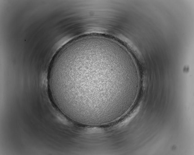 X0000102771113200808251045