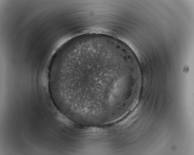 X0000102771115200808251045