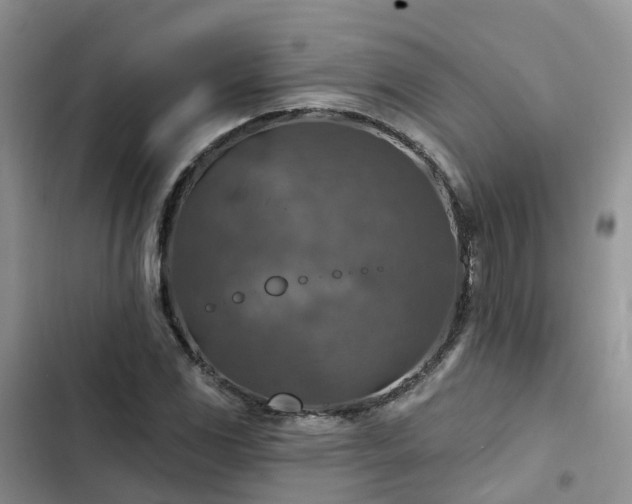 X0000102771117200808251045