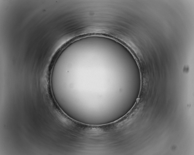 X0000102771119200808251046