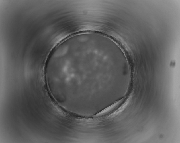 X0000102771121200808251046