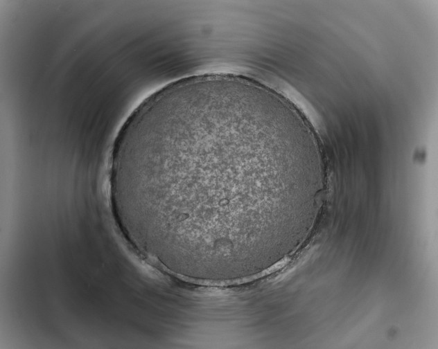 X0000102771124200808251046