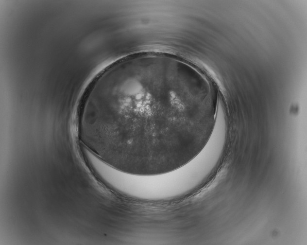 X0000102771125200808251046