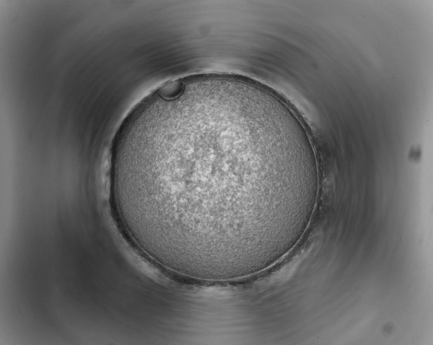 X0000102771126200808251046