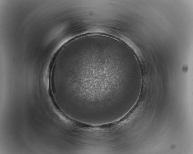 X0000102771127200808251046