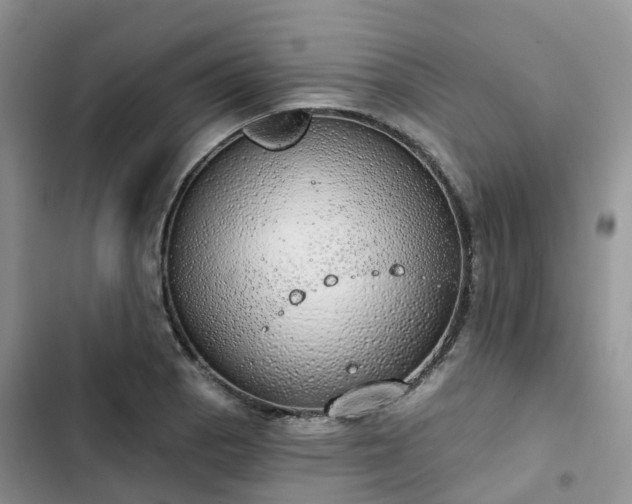 X0000102771129200808251046