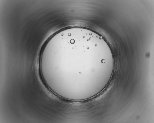 X0000102771130200808251046