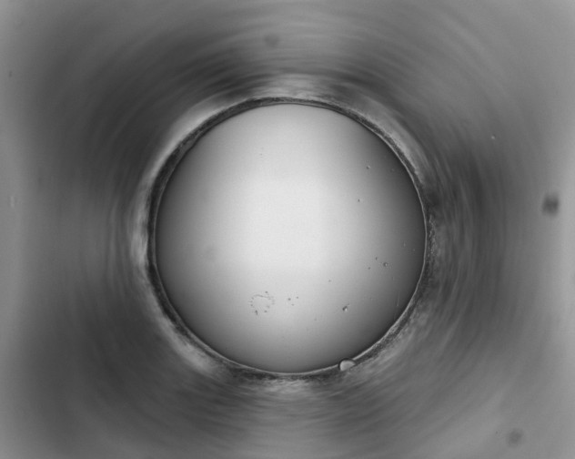 X0000102771131200808251046