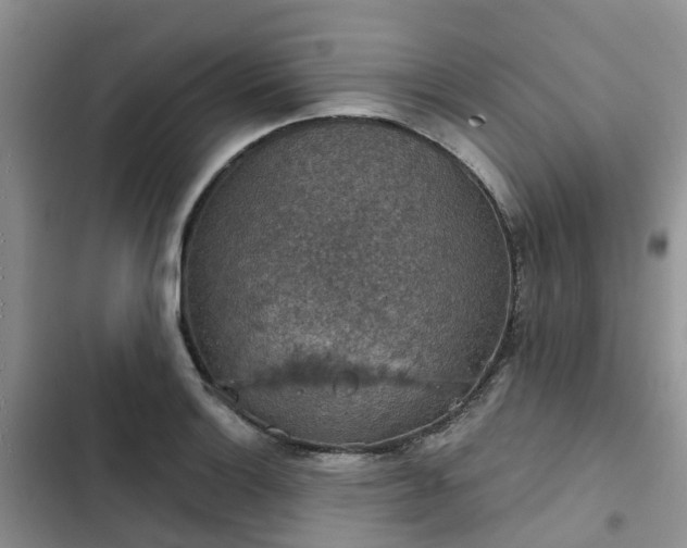 X0000102771132200808251046