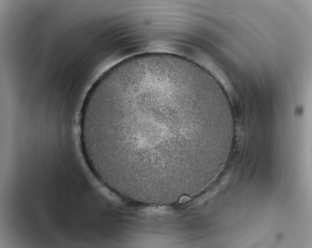 X0000102771133200808251046