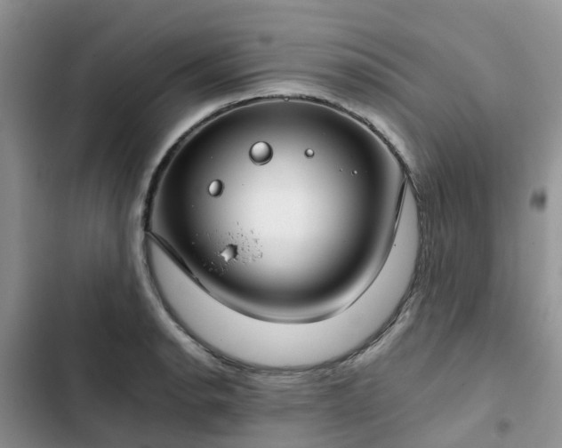 X0000102771134200808251046