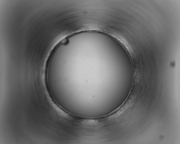 X0000102771135200808251046