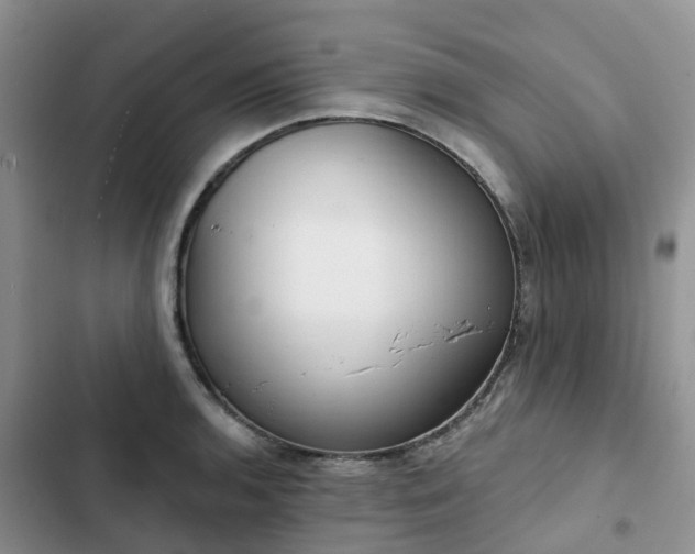 X0000102771136200808251046