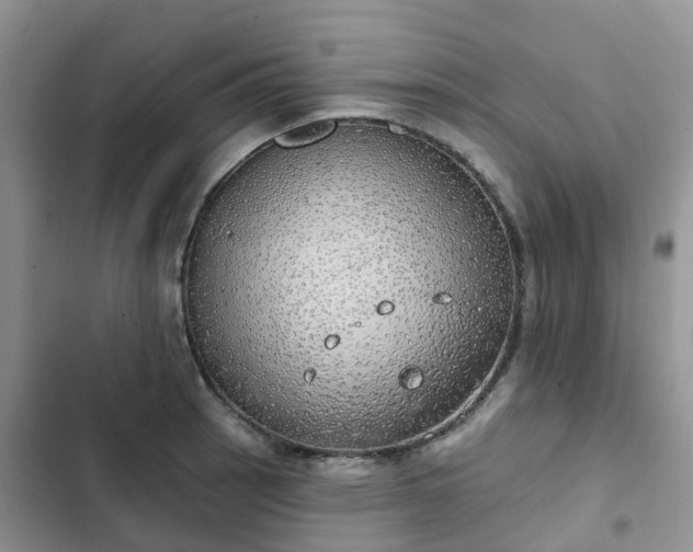 X0000102771137200808251046