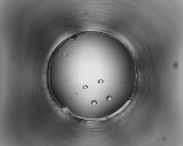 X0000102771138200808251046