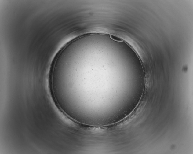 X0000102771139200808251046