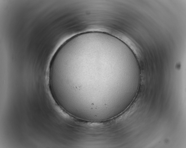 X0000102771140200808251046