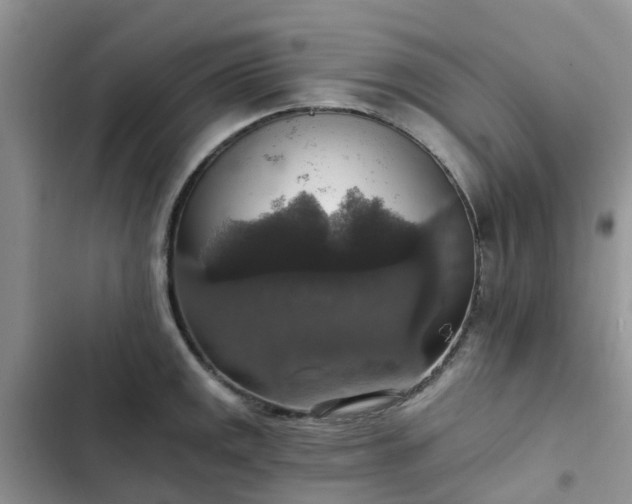 X0000102771141200808251046