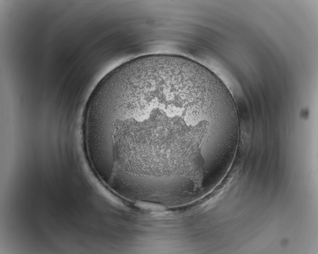 X0000102771142200808251046