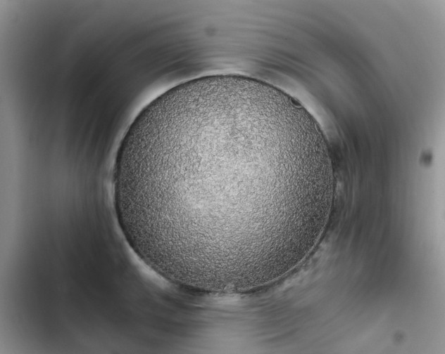 X0000102771143200808251046